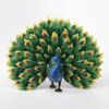 Picture of Kingspoint Designs Queen Sheba the Peacock Trinket Box with Matching Necklace