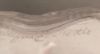 Picture of Lalique Duex Fleurs Perfume Bottle