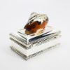 Picture of Isabella Adams Clear Crystal Sarmaticus Turbo Shell Keepsake Box