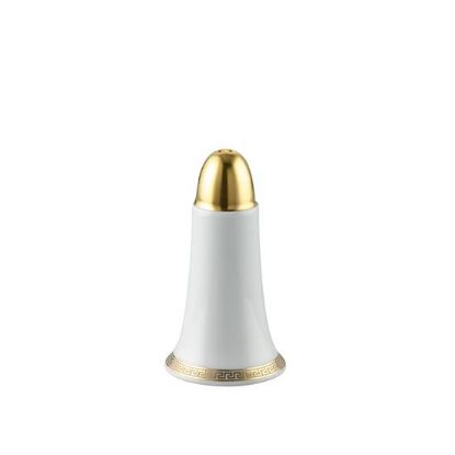 Picture of New Salt Shaker