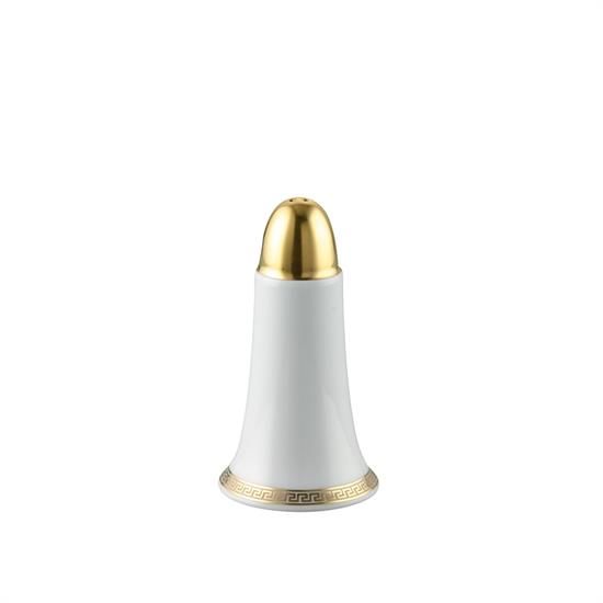 Picture of New Salt Shaker