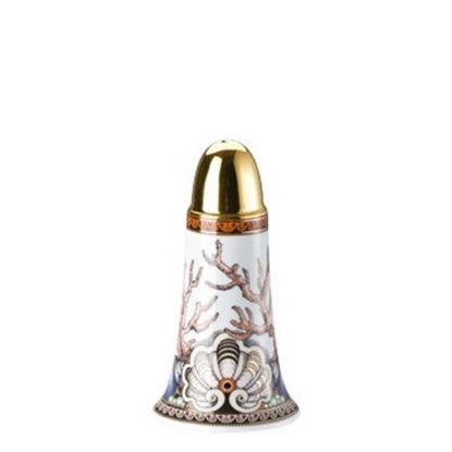 Picture of New Pepper Shaker