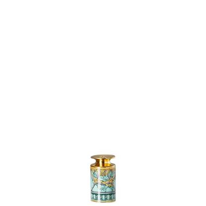 Picture of New Salt Shaker