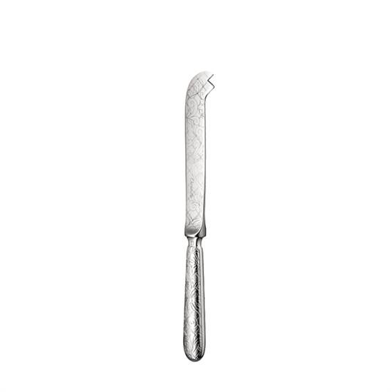Picture of New Cheese Server