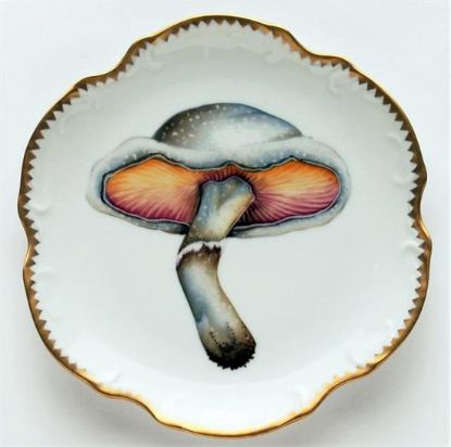 Picture of Dinner Plates