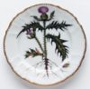 Picture of New Salad Plates