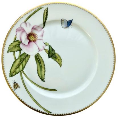 Picture of 5pc. Place Setting