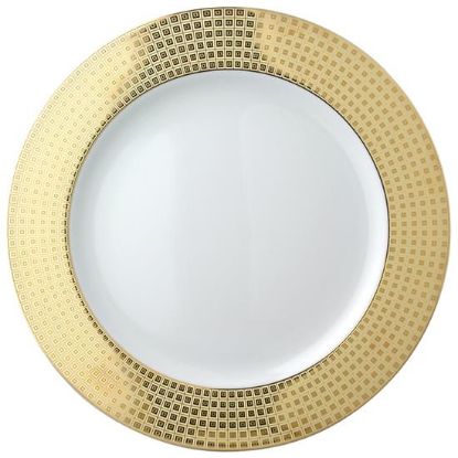 Picture of New Service Plate 12"