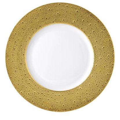 Picture of New Service Plate 12"