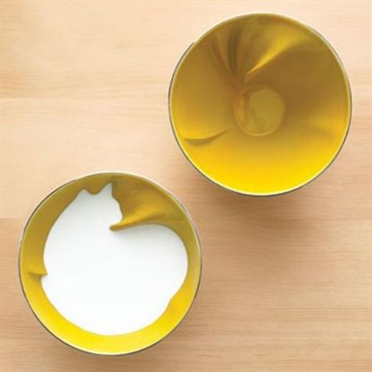 Picture of 5pc. Place Setting