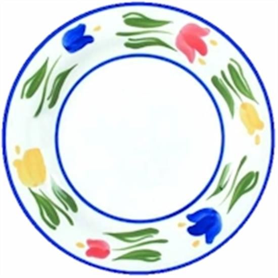 Picture of Dinner Plates
