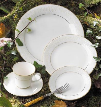 Picture of Dinner Plates