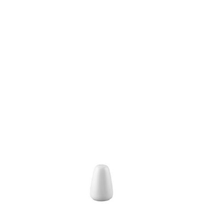 Picture of New Salt Shaker