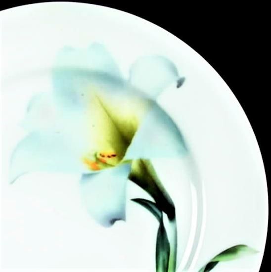 Picture of Dinner Plates