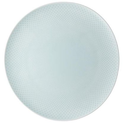 Picture of New Service Plate 12"