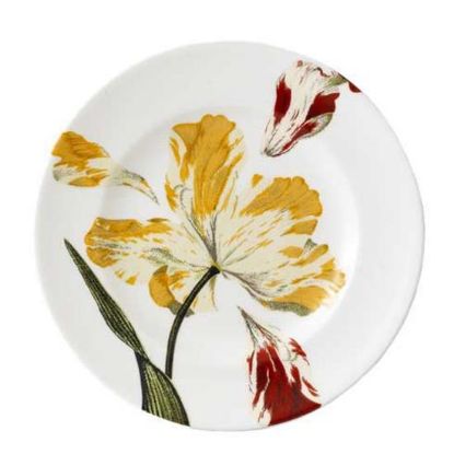 Picture of New Dinner Plate