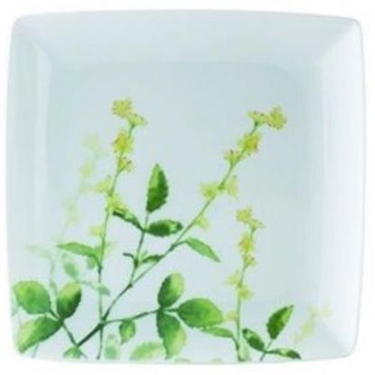 Picture of Dinner Plates