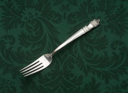 Picture of Place Forks