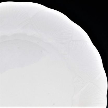Picture of 5pc. Place Setting