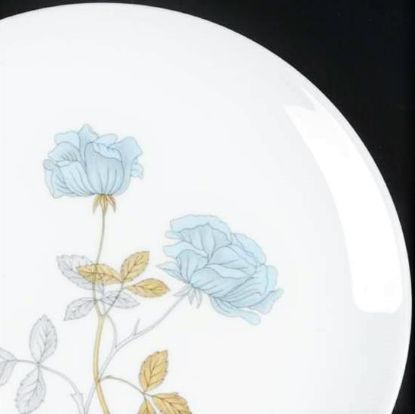Picture of Dinner Plates
