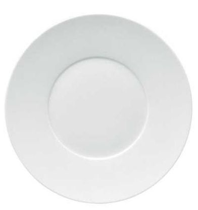 Picture of New Service Plate 12"
