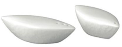 Picture of New Pepper Shaker