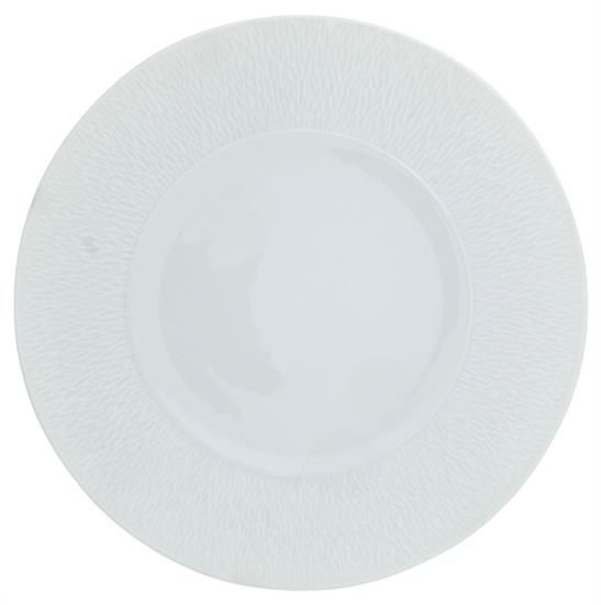 Picture of New Service Plate 12"