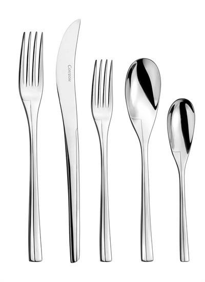 Picture of New 5pc. W/placespoon