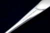 Picture of Table Serving Spoon