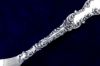 Picture of Sauce Ladle
