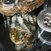 Picture of Lalique Caroline Turtle Sculpture - Gold Luster Crystal