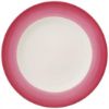 Picture of New Dinner Plate