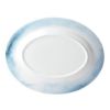 Picture of New Oval Plat. 16"