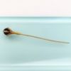 Picture of Victorian/Edwardian Era 14K Gold & Lapis Lazuli Eagle's Talon Figural Stick Pin