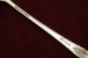 Picture of Olive Fork