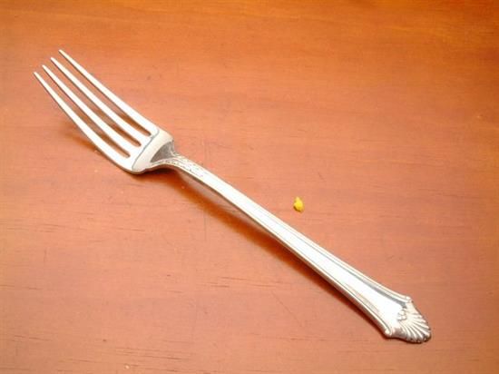 Picture of Place Forks