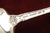 Picture of Sauce Ladle