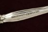 Picture of Olive Fork