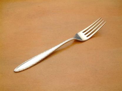 Picture of Place Forks: