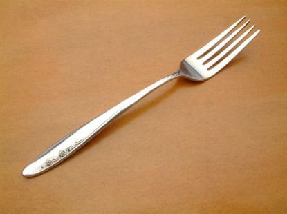 Picture of Place Forks