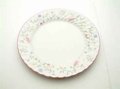 Picture of New Dinner Plate