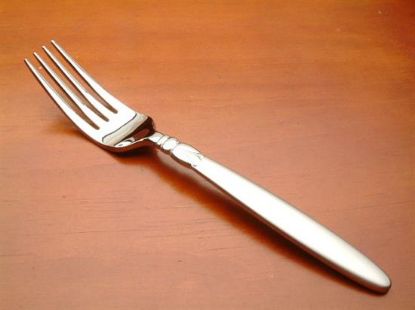 Picture of Place Forks
