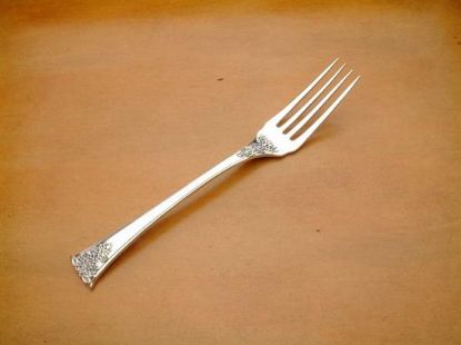 Picture of Place Forks
