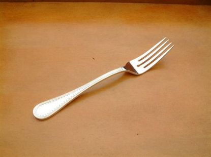 Picture of Place Forks