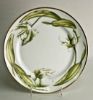 Picture of New Dinner Plate
