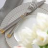 Picture of New Dinner Plate