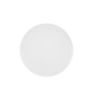Picture of New Dinner Plate