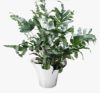Picture of Georg Jensen 'Bloom' Large Flower Vase/Pot