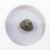 Picture of Owls of Arabia, c.3rd-2nd Centuries BC, ARABIA FELIX, Sabaeans(?), AR 'Eight-Unit,' NGC VG