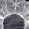 Picture of Lalique Honfleur Tray Saucer Plate